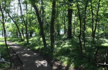 Restful Retreat on the Lake - Natural and Peaceful - Foto 26