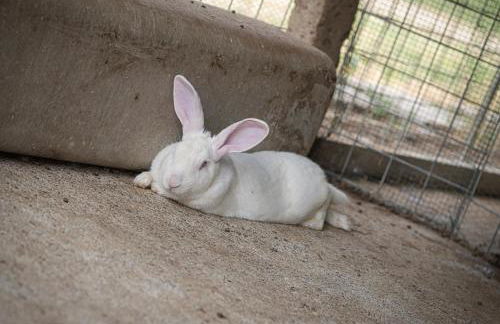 Agriturismo Quadrifoglio Relax - Foto 93