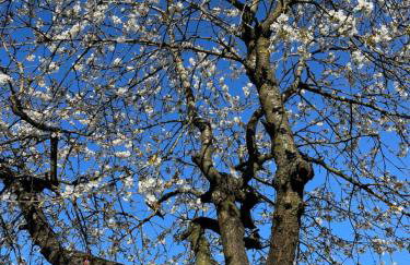 Apartament NAD CZEREŚNIĄ - Foto 2