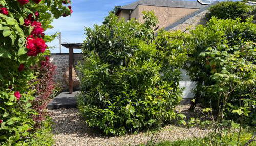 Studio Luxe + jardin et terrasse - Foto 5, Garden