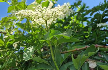 FeWo Fanissimo - Foto 17