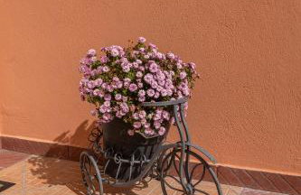 Nikola's Home Anatoli Ioannina - Foto 46