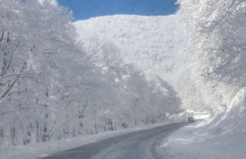 La maisonnette - Foto 32