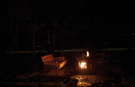 Plant House - Foto 16