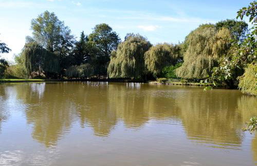 Lake House Cottage - Foto 11