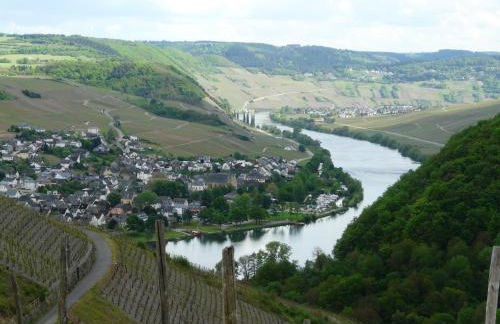 Ferienwohnung '' Wein unter Palmen '' - Foto 24