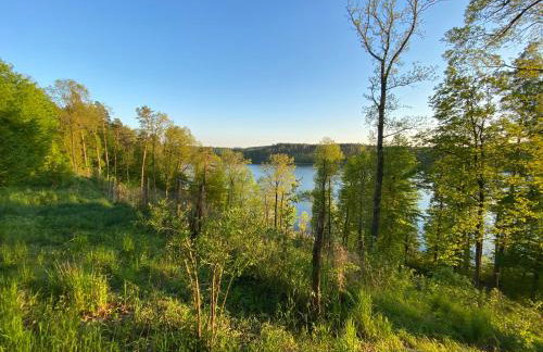 Sosenkowe Zacisze - Foto 6