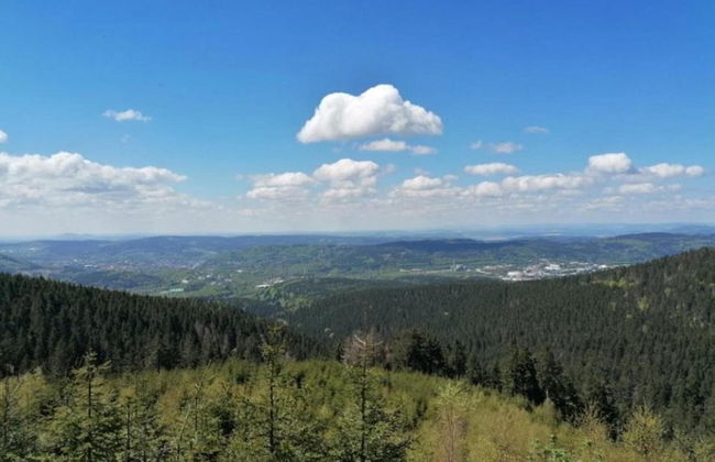 Holiday Home in Suhl Near Rennsteig Trail - Foto 36