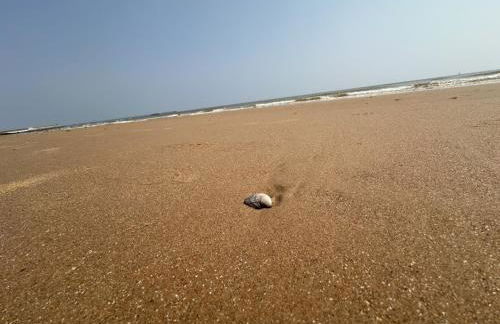 High view house, 3 bed flat, Number 41A - Foto 41