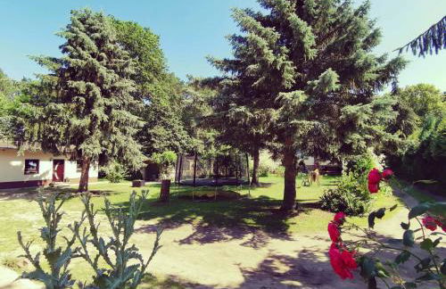 Doppelhaushälfte Nordwind vom Naturhof Usedom - Foto 5