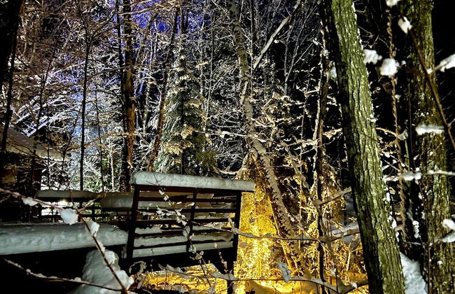 Hauser's Bayfield Cabin - Foto 66