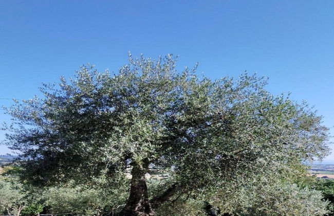 Tuscan Style Apartment with View of the Hills - Foto 40