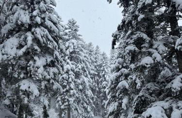 CASA TON, junto a Baqueira y Aigüestortes - Foto 24