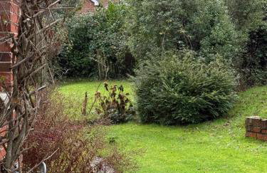 Cosy Forest Cottage Log Fire Ponies Walks - Foto 47