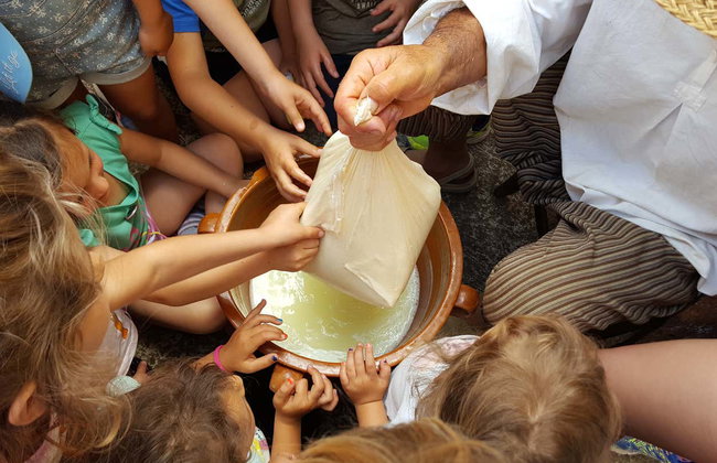 Binissues Ticket + Cheese Making Demonstration - Photo 8