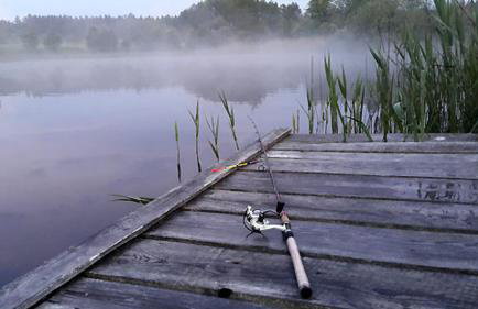 Agroturystyka Oczko - Foto 12
