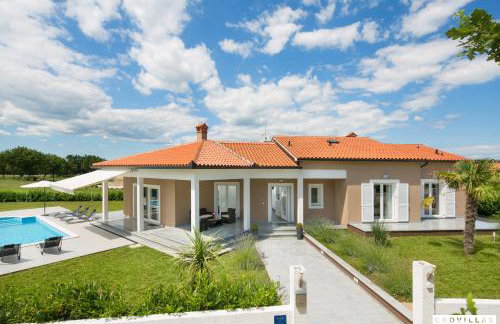 Deep Blue - Photo 17