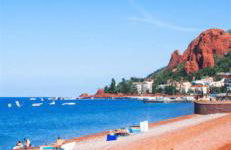 Serenity Apprt 1 - Photo 10