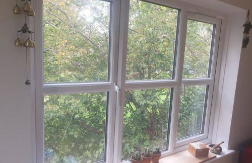 Peaceful room on sharing flat in Wimbledon - Foto 11