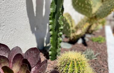 Villa provençale, Golfe Saint Tropez, Climatisée 12 pers, 4 suites, Piscine chauffée, Hammam, Spa, Billard, Pétanque, Wifi professionnel haut débit - Foto 70