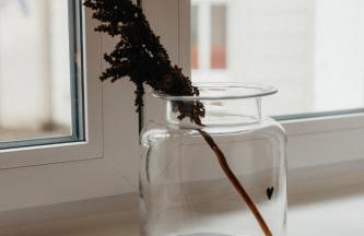 Charmante Wohnung mit Garten im Briller Viertel - Foto 25