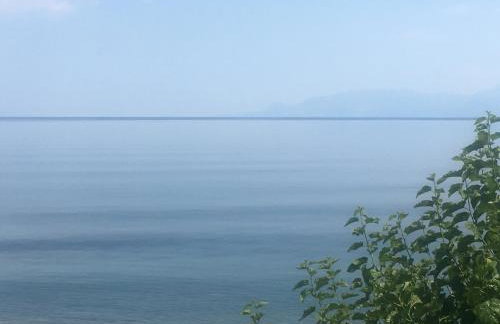 Sea Sound - Photo 20