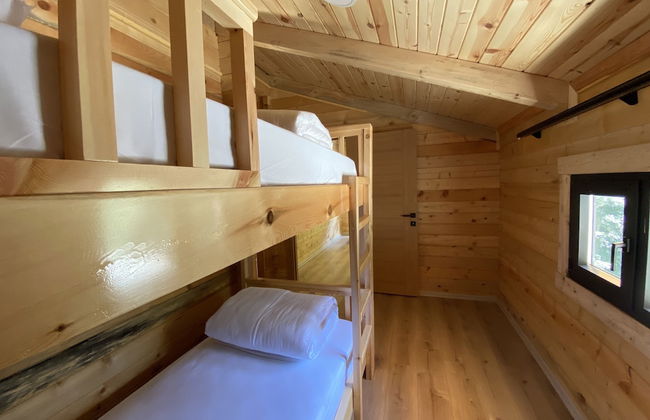 King Cabins - Photo 2