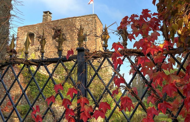 Bickleigh Castle Hotel - Photo 42