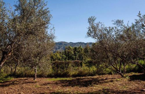 Onar Camper - Photo 15