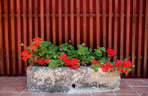 Quinta De Vila Nova - Agroturismo - Foto 47