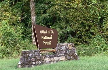 Livin on the Edge Cabin in Albert Pike, Beautiful! - Foto 56