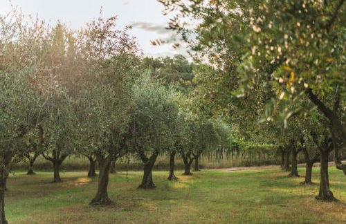 Privilegium Lazise - Photo 36