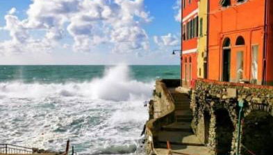 Pepita di Rio - Foto 3