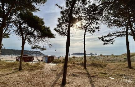 Atico Grecia - Foto 31