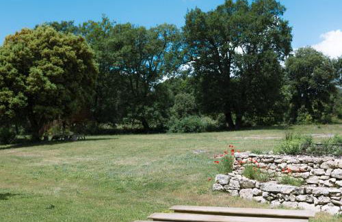 Domaine de la barbeirasse - Foto 53