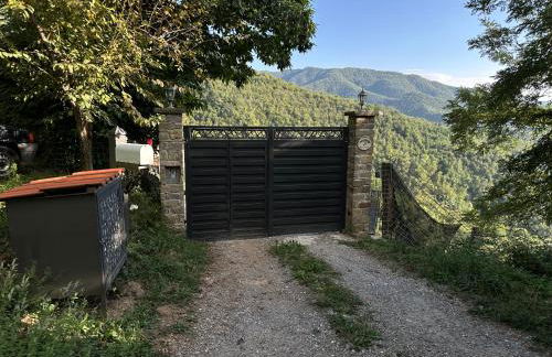 Metato con piscina e giardino - Foto 23