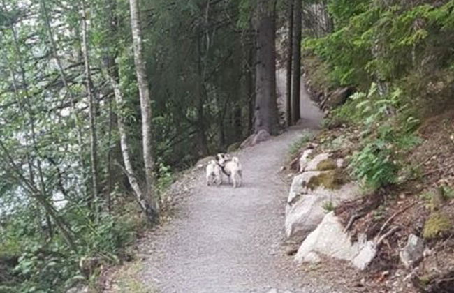 Holiday Home in the Rosbachtal - Foto 33