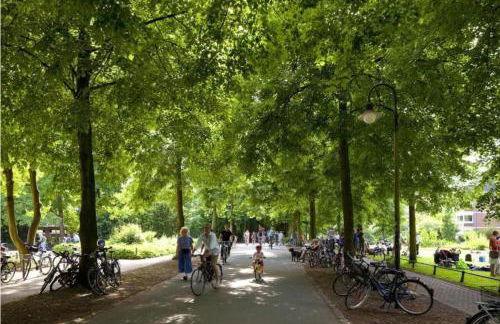 Schickes, Stilvolles und Helles Apartment in Münster - Foto 68