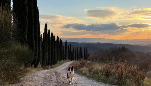 Il Giardino degli Ulivi - Foto 4