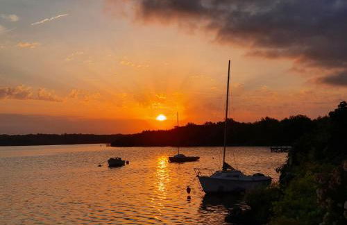 Les Rives du Lac de Léon - Foto 35