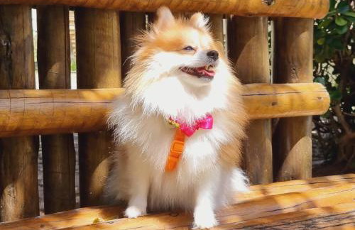 Muriú Beach Flat - Foto 14