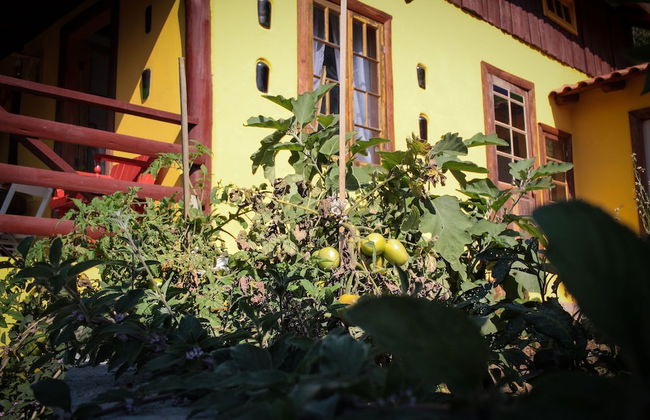 Chale Sol da Montanha em Termas Gravatal - Photo 28