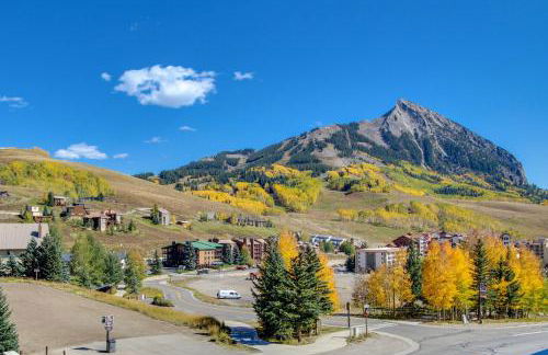 Treasury Condos - Foto 19