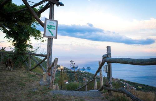 Agriturismo Fattoria Terranova - Foto 114