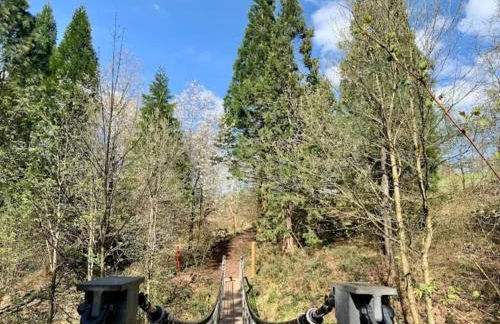 Charming Holiday Residence in the Harz With Wonderful Excursion Opportunities - Foto 112