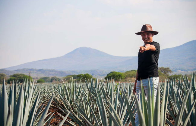 Guachimontones + Tequila Day Trip - Photo 4