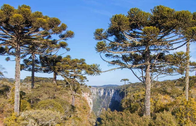 Escursione al canyon Itaimbezinho - Foto 8
