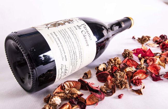 Tour in Álora - Photo 6