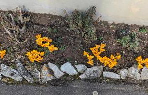 Wohlfühlmomente im Nordschwarzwald - Photo 11