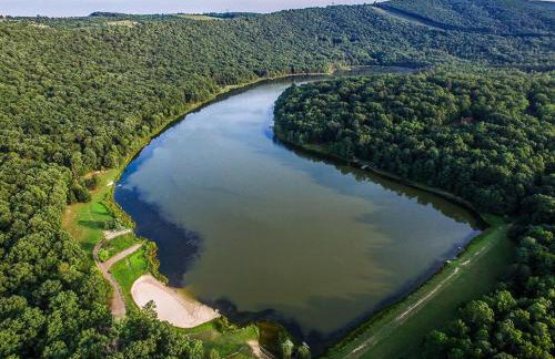 Family Cabin on 6 Acres with Lake Access and Hot Tub! - Foto 33